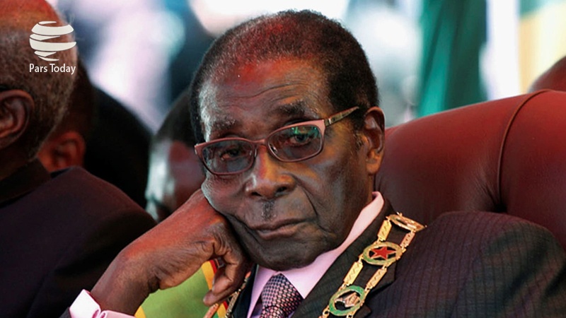 موگابے کا استعفی اور زمباوے کا سیاسی مستقبل 