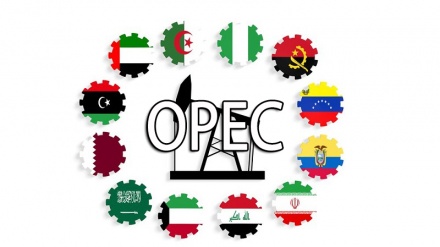 جڤینی ئۆپێک، پێویستی پاراستنی 