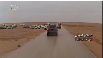 شام میں دہشت گرد گروہ داعش کو ذلت آمیز شکست