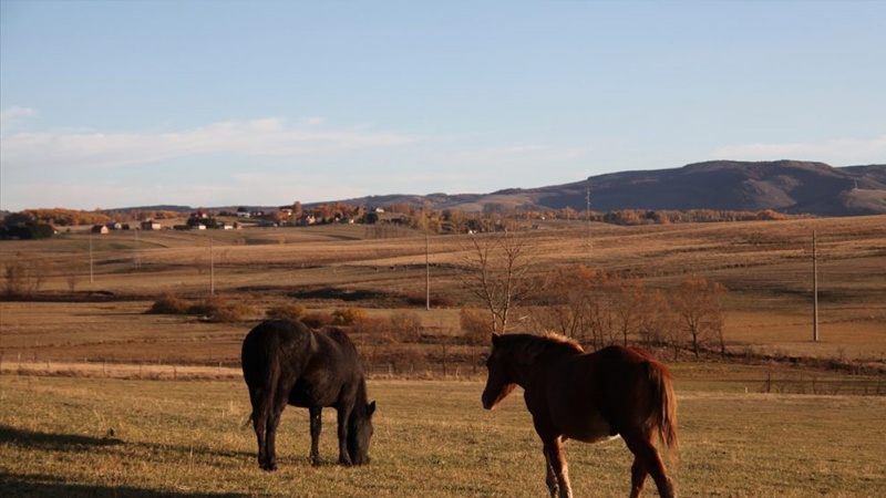 Pešterska visoravan i Limska dolina: Pašnjaci i proplanci u koloritu jeseni