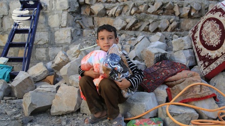 بەردەوامیی ژیان لە کرماشان