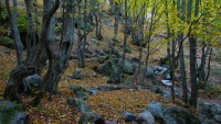 Jesenja priroda Arasbarana

