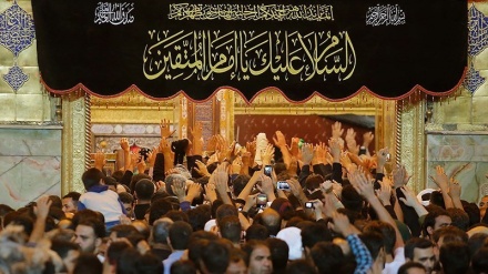 حسینی زائرین علوی بارگاہ میں ۔ تصاویر