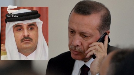 Ərdoğan Suriya haqda Qətər əmiri ilə telefon söhbəti aparıb