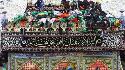 حسینی زائرین، بارگاہ باب الحوائج میں