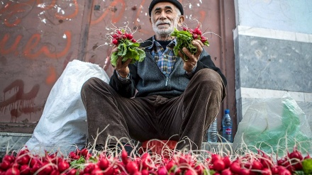  ڕه‌شت، شارێکی جوان له‌ سرووشته‌ هه‌میشه‌ سه‌وزه‌که‌ی باکوری ئێران