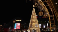 Božićna drvca u različitim dijelovima svijeta 