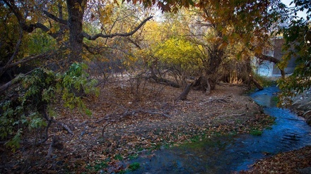 گۆرانی کوردی کرماشان