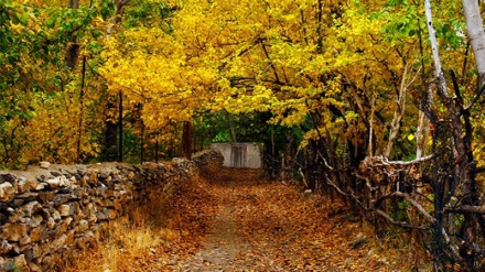 گۆرانییەکی کوردی به دەنگی بەڕێز شەهبازشاهین پوور به ناوی دیاری یاران