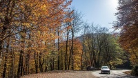  Jesenja priroda uz autoput od Asalema do Halhala
