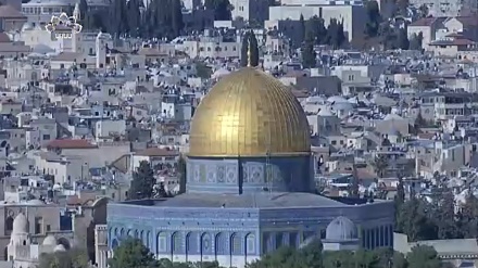 فلسطین کی بھر پور حمایت کا اعلان