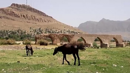 ڈاکیومینٹری ایران کے تاریخی پل - یہ  پروگرام پل شکستہ، صوبہ لرستان