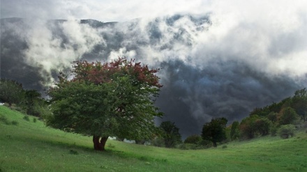 ملۆدییەکی کوردی به دەنگی محەممەد ماملێ
