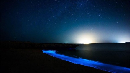 گۆرانی کوردی ڕێبوار