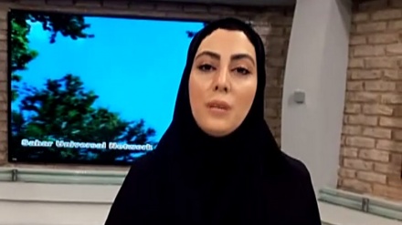 ئەکتەری ئێرانی : کوردان کەسانێکی گەورەن و شەرافەتمەندانە دەژین