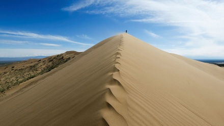 ڕێگای هەورێشم