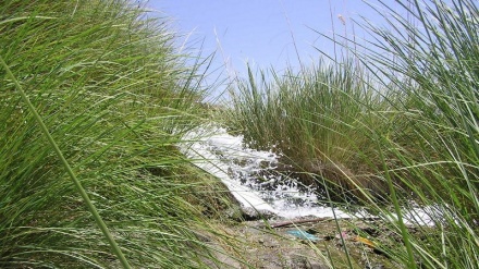 سروشتی جوان و دڵڕفێنی گوندی دیهیستان له نزیکی شاری هورموزگان