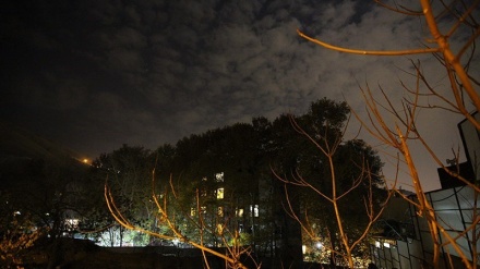 گۆرانی کوردی باخەوان