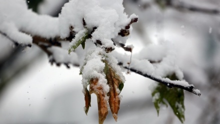 گۆرانی کوردی زستان