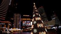 Božićna drvca u različitim dijelovima svijeta 