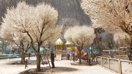 İranın yarım-şimal hissəsində güclü qar yağışı; məktəblər bağlanıb