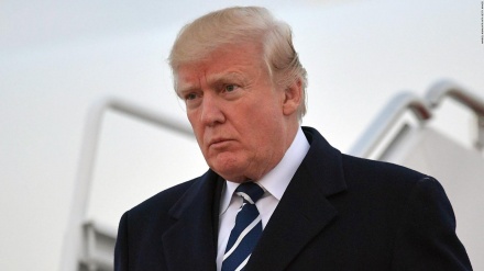 Tramp rasional stabilliyinin olmaması haqdakı xəbərlərə reaksiya verib