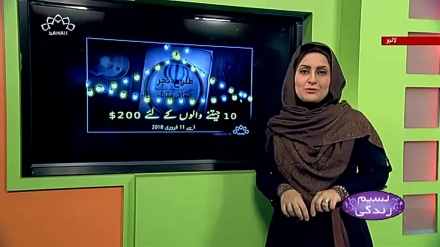 پروگرام نسیم زندگی کا معلوماتی حصہ