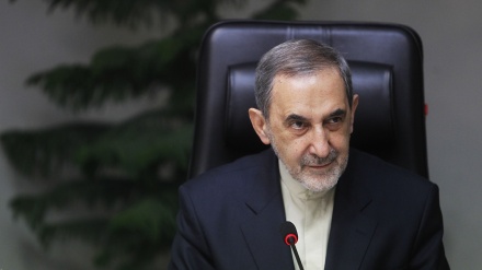 ویلایەتی : تومه تی  خۆوەردانی ئێران لە یەمەن، حاشاکردن له  خۆڕاگری گەلی یەمەنە