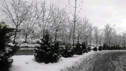 Rojhejmêra Dîrokê - 2018-01-29