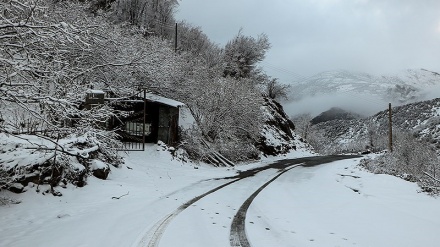 سترانێکی کوردی به ناوی سەرلێشێواو به دەنگی مەهدی حوججەت سادات