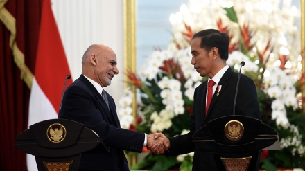 طالبان کے پاس دو آپشن: دہشتگردی یا اسلام