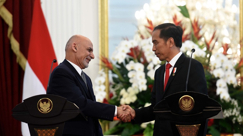 طالبان کے پاس دو آپشن: دہشتگردی یا اسلام