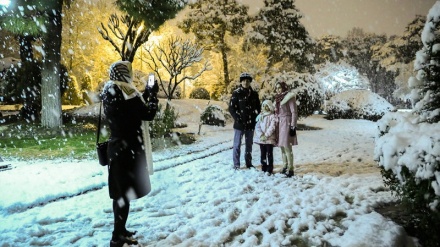 دیمەنی جوانی بەفر لەسەر شەقامەکانی تاران