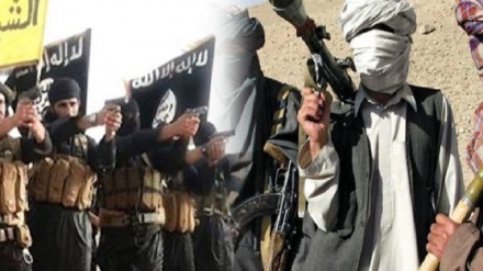 افغانستان: داعش اور طالبان میں جھڑپ 21دہشتگرد ہلاک