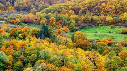 سروشتی جوان و دڵڕفێنی شاری سه‌وادکوه 