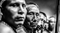 Brazilski domoroci 

