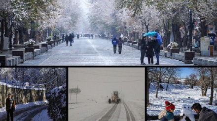 گۆرانی کوردی نەی چی