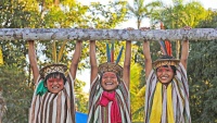 Brazilski domoroci 
