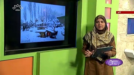 پروگرام نسیم زندگی کا معلوماتی حصہ