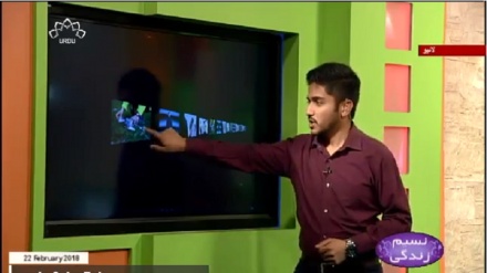 پارک کی صفائی اور ورزش ساتھ ساتھ