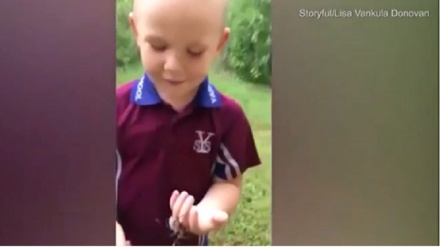 خطرناک مکڑی سے کھیلنے والا بہادر بچہ
