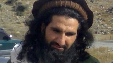  خالد سجنا کی ہلاکت کے بعد، مفتی نور ولی  نیا نائب امیر مقرر