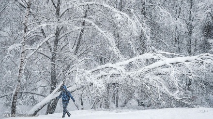 گۆرانی کوردی ئارەزووی دیدار