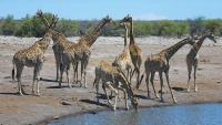 Ljepote Namibije
