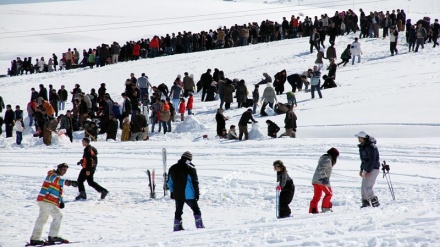 شادمانیی زستانی له پیستی خلیسکێنی ورمێ