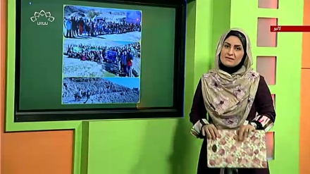 پروگرام نسیم زندگی کا معلوماتی حصہ