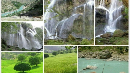 تاڤگەی زەردلیمە لە ئێران