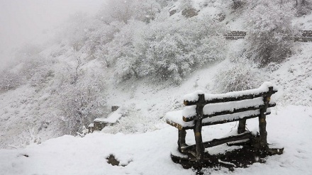 ڕۆژێکی بەفری له شاری سنه