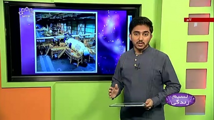 پروگرام نسیم زندگی کا معلوماتی حصہ