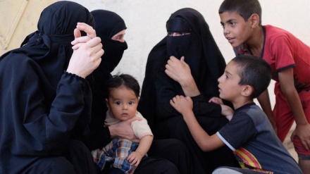 داعشی دہشت گردوں کی یورپ واپسی پر تشویش